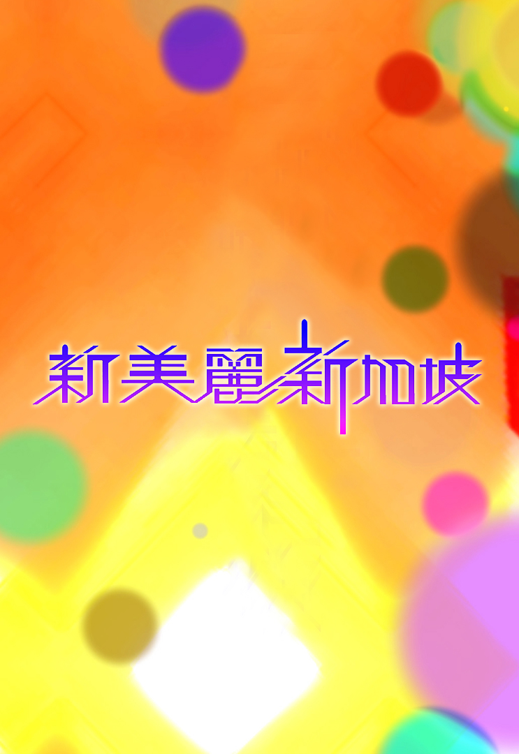 新美丽新加坡  2010