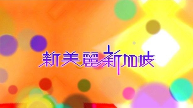 新美丽新加坡 2010