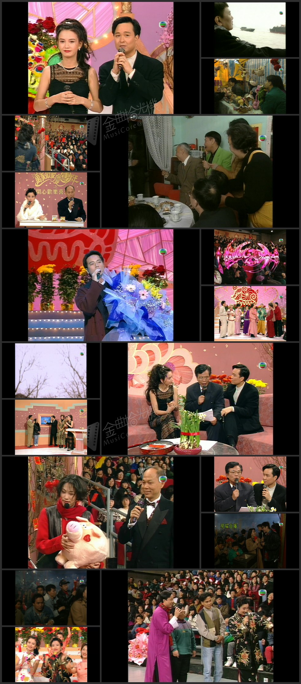 图片[1]-1995 万家欢聚庆团年 [1080P/TS源码/6.34G]-金曲拾光机 - MusiCore@乐影带