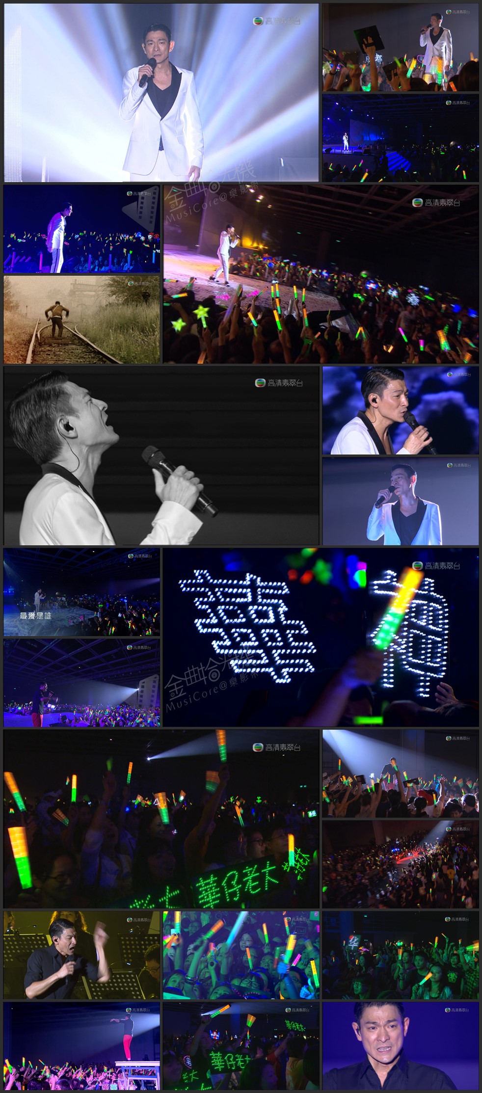 图片[1]-2010 刘德华爱你30年演唱会 [简繁软字] [1080i/TS源码/3.65G] [高清翡翠台]-金曲拾光机 - MusiCore@乐影带