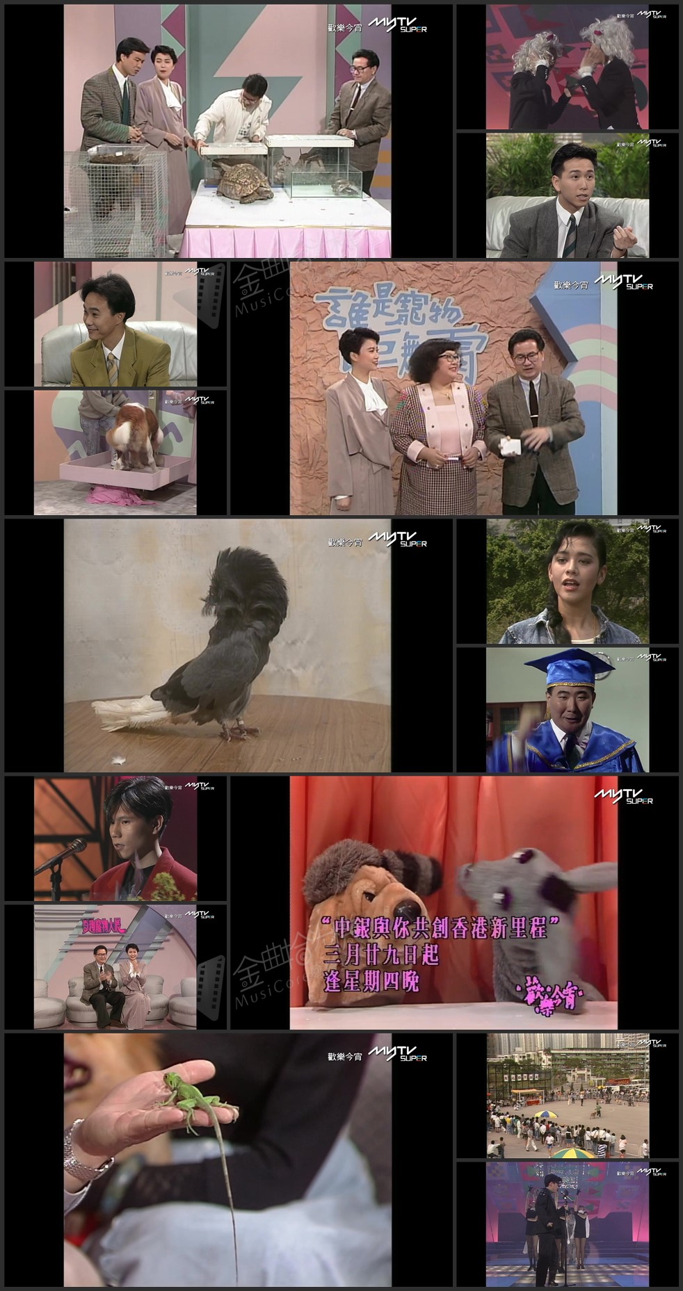 图片[1]-欢乐今宵’90 – 奇趣宠物大展 (TV Ver.) [1080P/TS源码/5.58G]-金曲拾光机 - MusiCore@乐影带