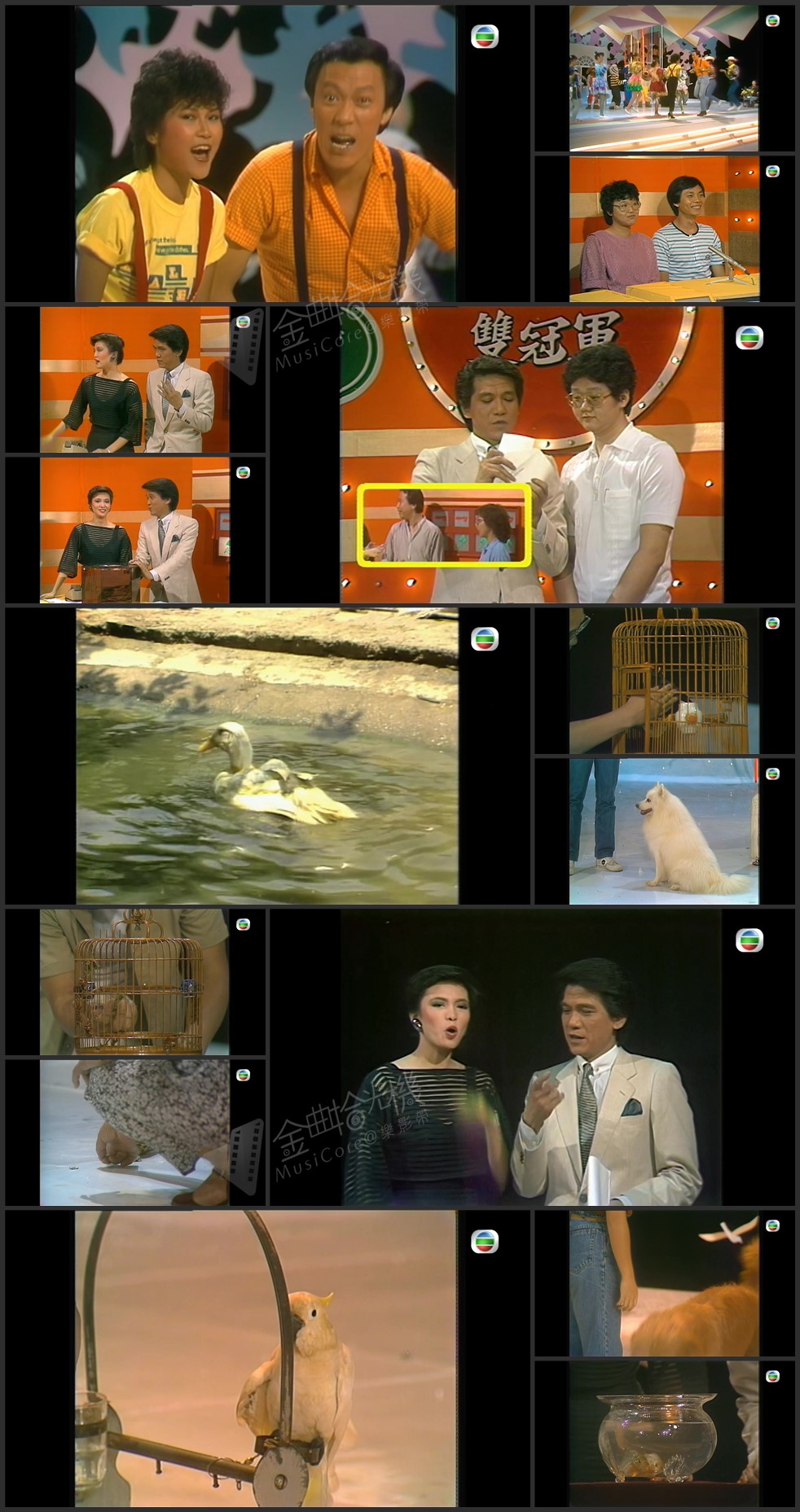 图片[1]-欢乐今宵’83 – 宠物服从比赛 [1080P/TS源码/4.59G]-金曲拾光机 - MusiCore@乐影带