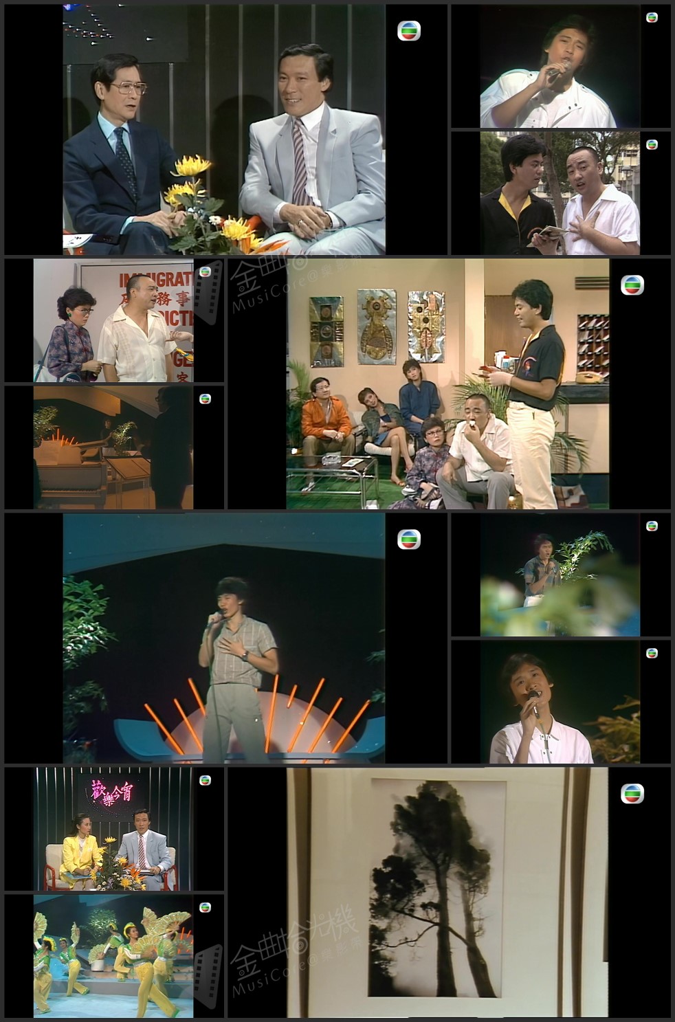 图片[1]-欢乐今宵’83 – 「似模似样」模仿蔡枫华大赛 [1080P/TS源码/5.09G]-金曲拾光机 - MusiCore@乐影带