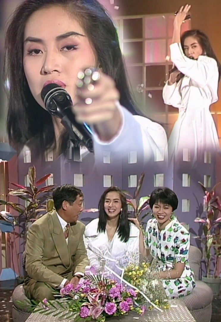 欢乐今宵’91 –「梅艳芳新歌推介」(TV Ver.)