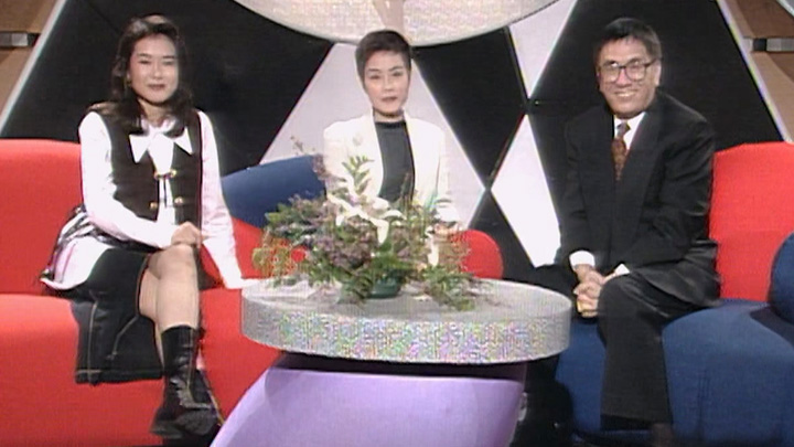 欢乐今宵’94 –「花弗新世界」王菲