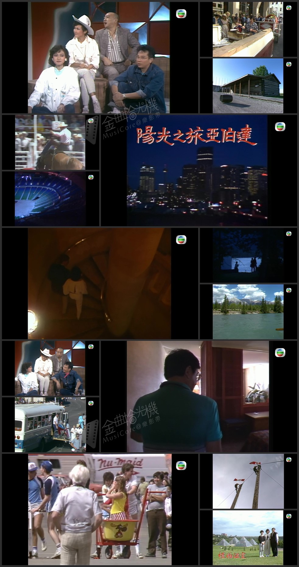 图片[1]-欢乐今宵’84 – 阳光之旅亚伯达 [1080P/TS源码/5.24G]-金曲拾光机 - MusiCore@乐影带