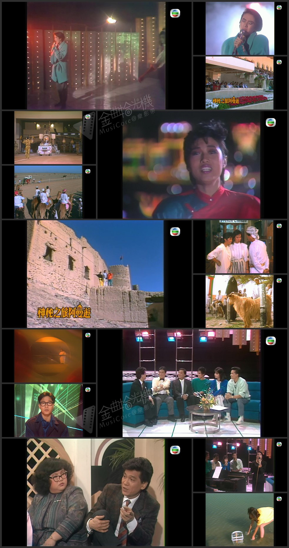 图片[1]-欢乐今宵’85 – 「魅幻群星谱」之梅艳芳 [1080P/TS源码/5.16G]-金曲拾光机 - MusiCore@乐影带