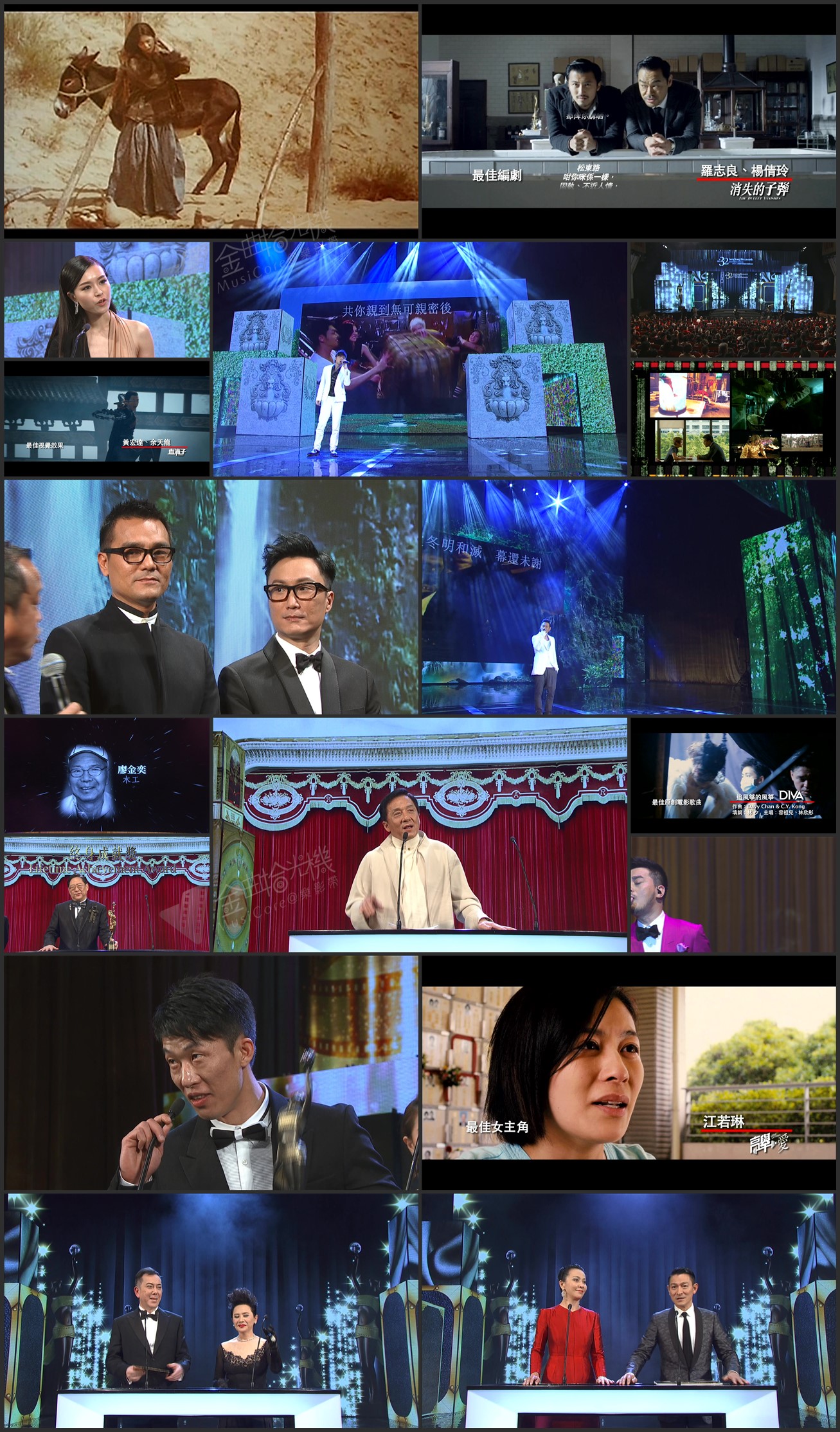 图片[1]-第32届香港电影金像奖颁奖典礼 [1080i/TS源码/23.1G] [SNG]-金曲拾光机 - MusiCore@乐影带