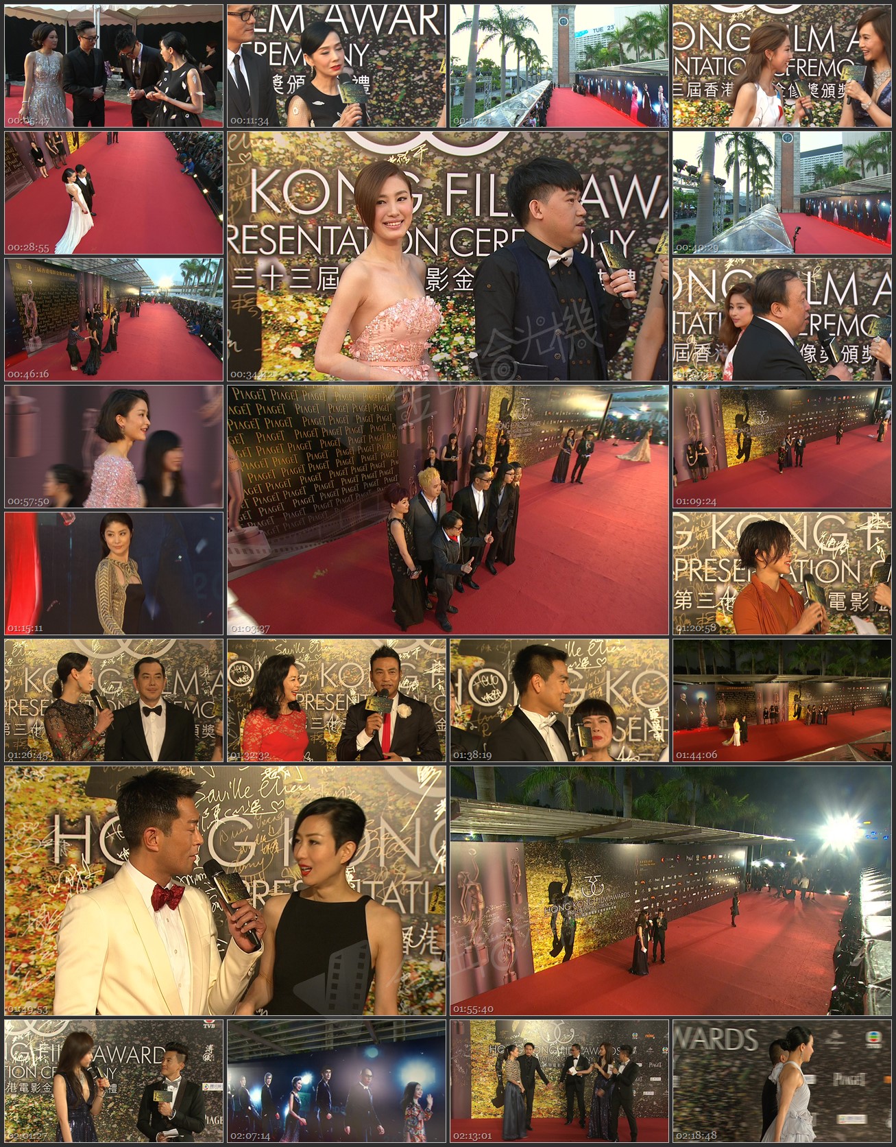 图片[1]-第33届香港电影金像奖颁奖典礼 – 红地氈盛况 [1080i/TS源码/12.9G] [SNG]-金曲拾光机 - MusiCore@乐影带