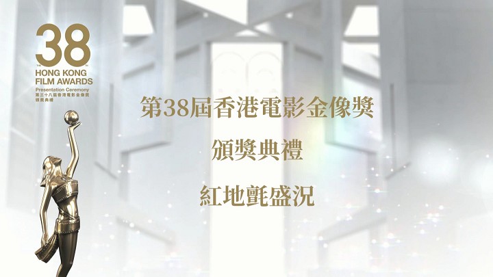 第38届香港电影金像奖颁奖典礼 - 红地氈盛况