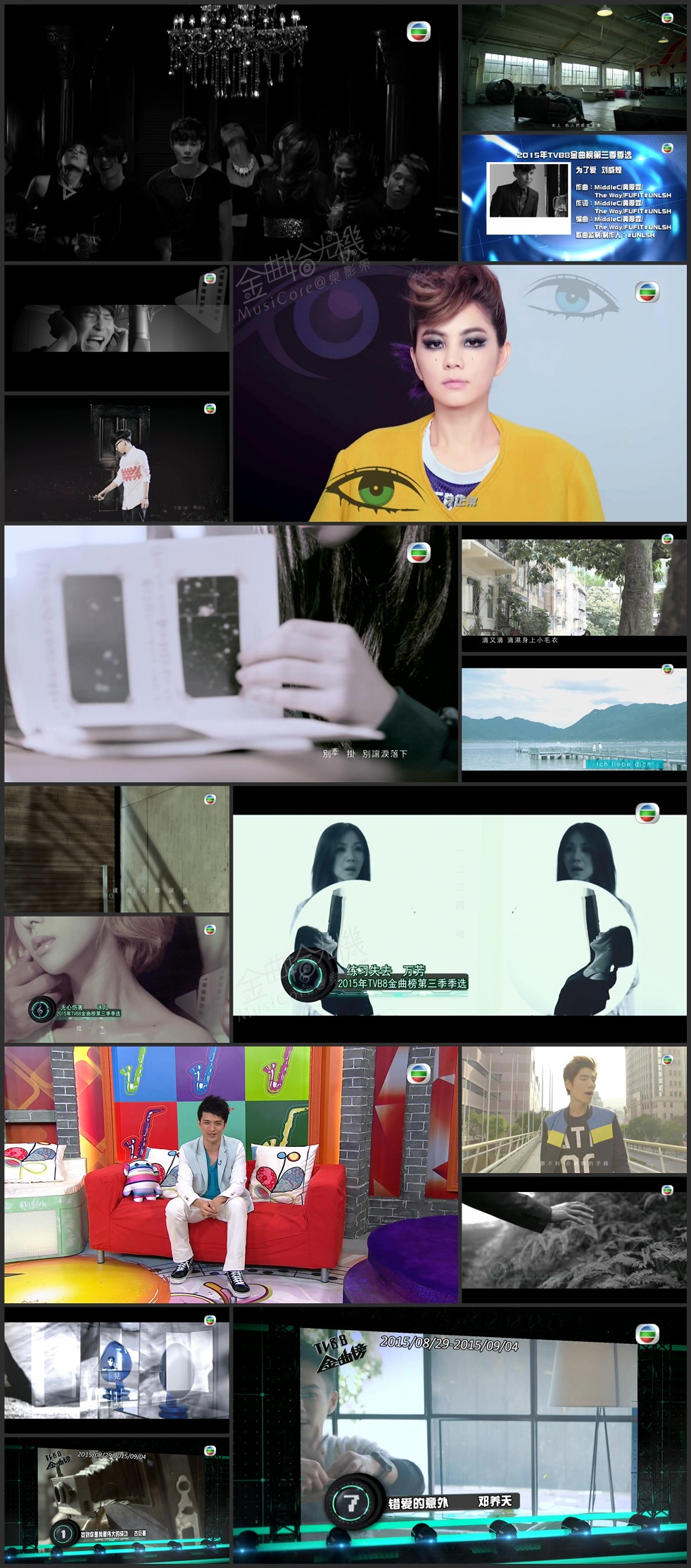 图片[3]-2015年TVB8金曲榜季选 [共4集] [1080P/TS源码/集约3.0G]-金曲拾光机 - MusiCore@乐影带