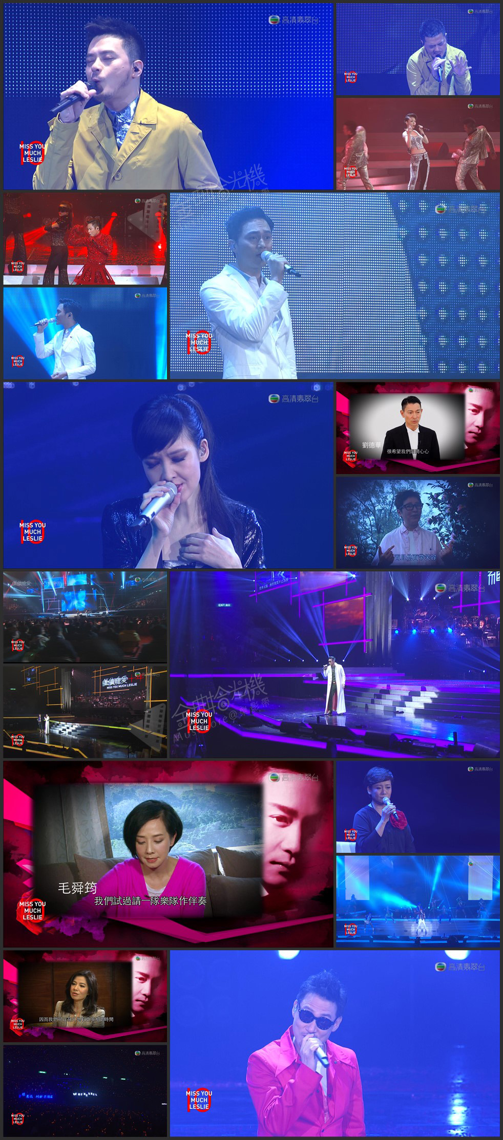 图片[1]-张国荣《继续宠爱·十年·MISS YOU MUCH LESLIE》音乐会 2013 – 纪念张国荣逝世十年 [繁体软字] [1080i/TS源码/13.3G / 35.1G] [高清翡翠台/SNG]-金曲拾光机 - MusiCore@乐影带