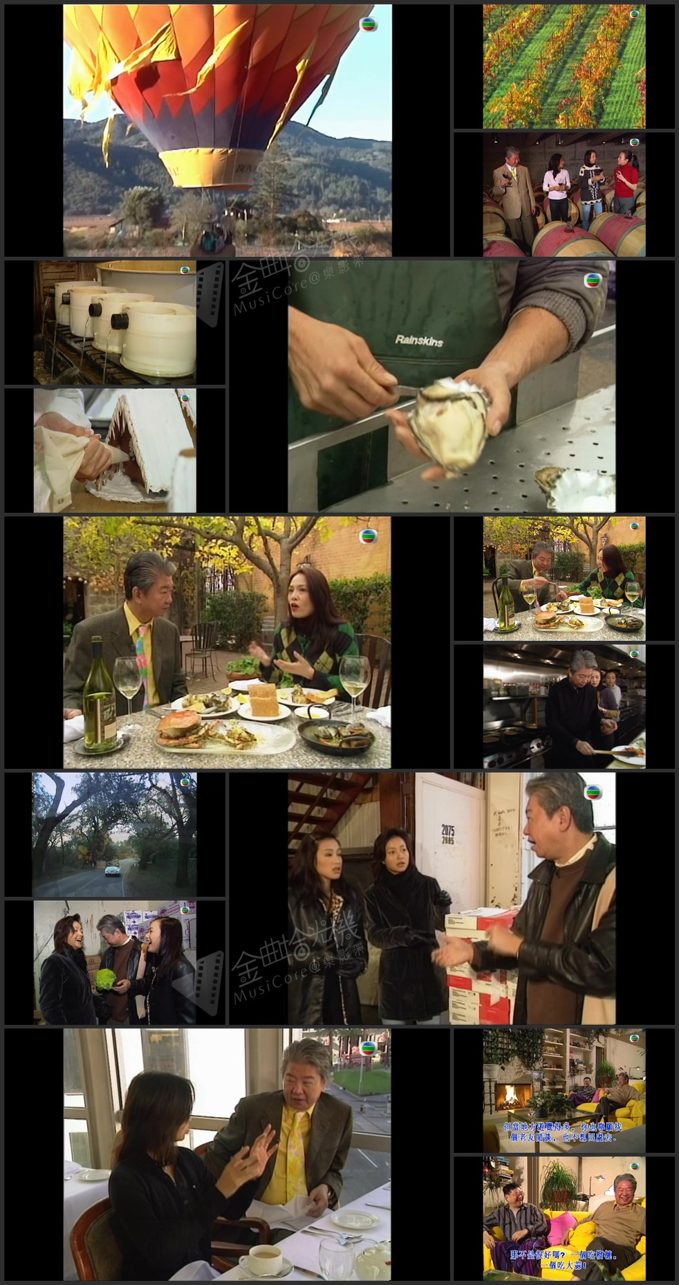 图片[2]-蔡澜遨遊三藩市 1998 [1080P/TS源码/集约2G]-金曲拾光机 - MusiCore@乐影带