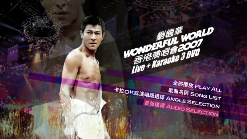 刘德华 2007 Wonderful World 香港演唱会 [双视角]