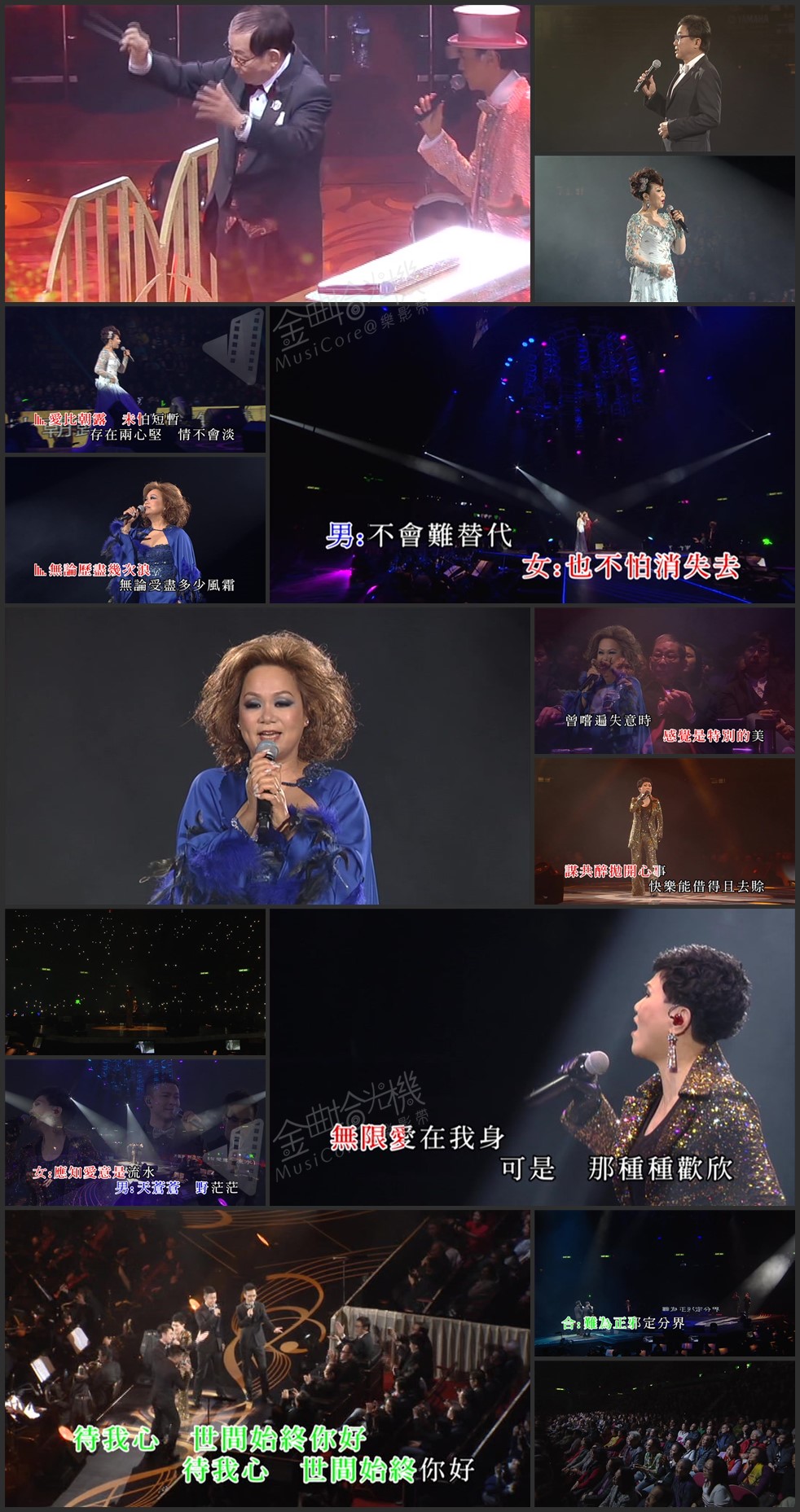 图片[10]-顾嘉煇大师荣休盛典2015·2016双演唱会 [双视角] [DVD原盘/5D9/5.9G+5.2G+6.2G+5.4G+6.1G] [新娱国际]-金曲拾光机 - MusiCore@乐影带