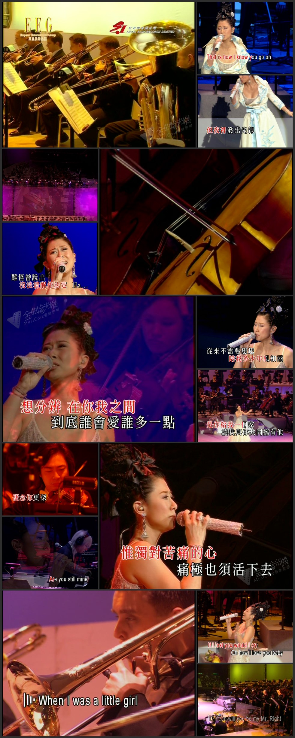 图片[4]-叶倩文 2005 港乐×叶倩文 Sally Yeh HKPO Live演唱会 Live+Karaoke版 [DVD原盘/2D9/6.35G+6.69G] [红音乐&EEG]-金曲拾光机 - MusiCore@乐影带