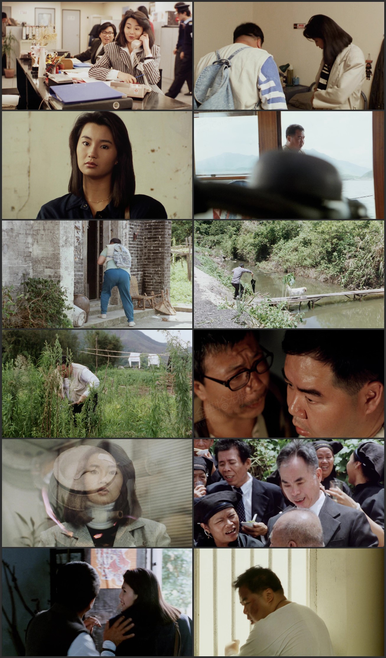 图片[1]-肥猫流浪记 (1988) [国粤双语] [简繁字幕] [1080P/MKV/2.65G]-金曲拾光机 - MusiCore@乐影带