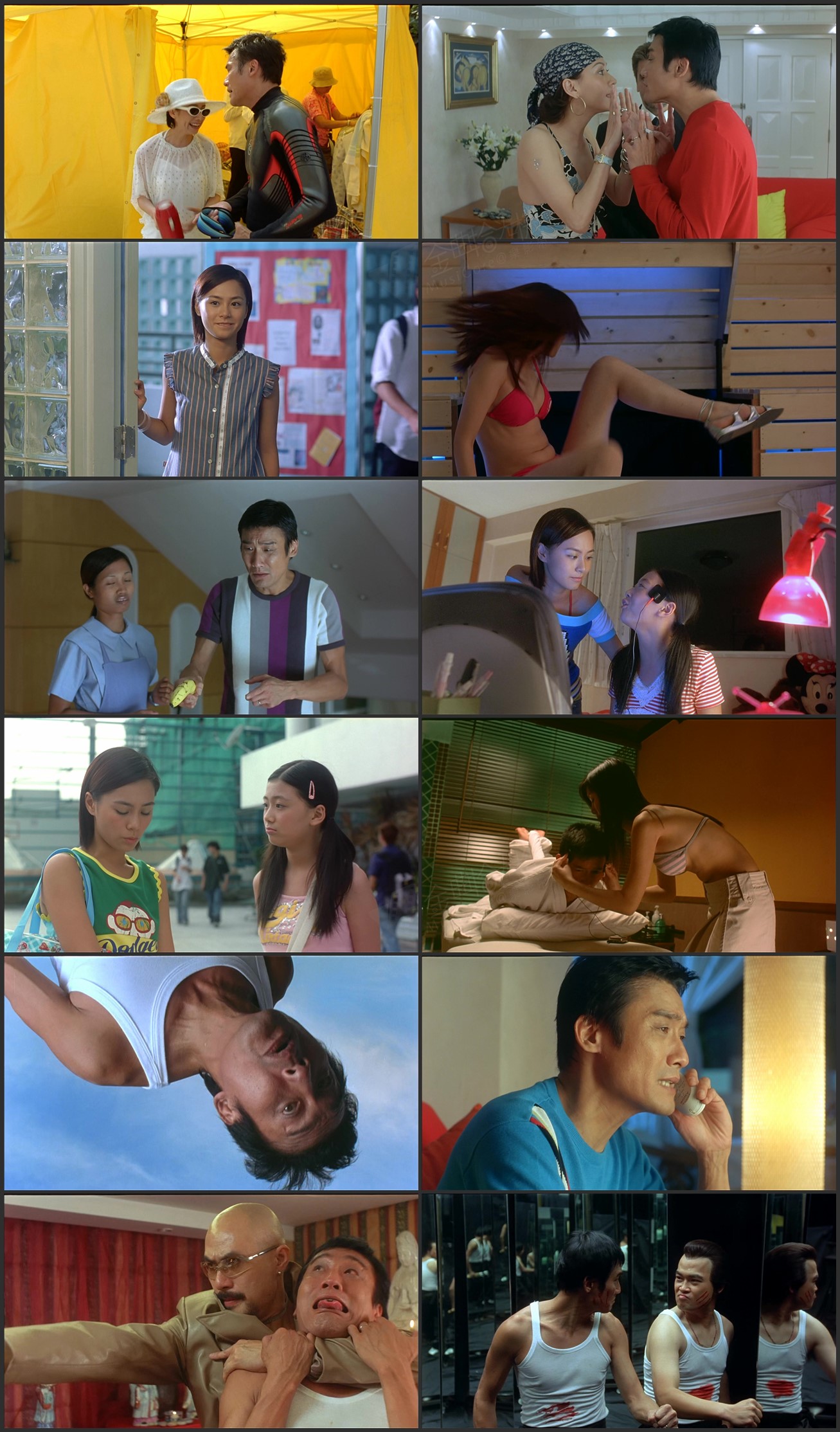 图片[1]-绝种铁金刚 (2003) [国粤双语] [简繁字幕] [1080P/MKV/2.62G]-金曲拾光机 - MusiCore@乐影带